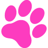 pink paw print image with playful design representing 21st century pet trends