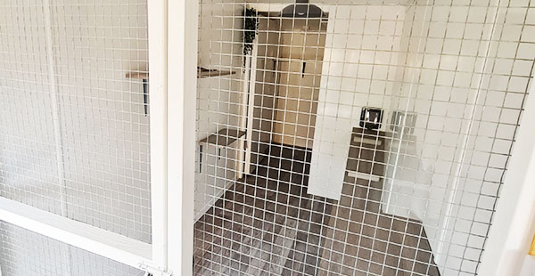 interior of a room with wire mesh doors showing wooden flooring and a shelf on the left ideal for a 28 square foot space