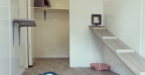 cat room with a wooden ramp and a pink bowl featuring a litter box and a shelf for six cat essentials