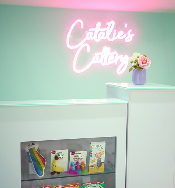 Cately's Catering sign with pink neon lighting above a white counter featuring colorful pet products vibrant decor and a small flower arrangement 34 pet supplies selection