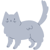 cute gray cat with fluffy fur and a curled tail in a playful pose with five paws visible
