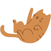 a playful orange cat lying on its back showing its belly and paws with a relaxed expression ideal for pet lovers