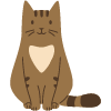playful light colored cat with whiskers jumping number 12 in fun