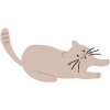 a light brown cat stretching playfully showcasing its flexibility and agility perfect for 16 playful moments