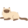 Siamese cat lying down with soft fur and playful expression 27 cat breed features adorable 27 playful moments