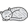 sleeping grey cat curled up with soft fur resting peacefully a cozy spot 11 adorable moments