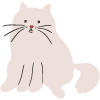 cute fluffy cat sitting with whiskers and paws is a playful companion 24 hours a day