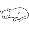 a sleeping cat resting peacefully showcases calmness and tranquility in feline form
