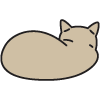 sleeping cat curled up in a cozy position with soft fur ideal for relaxation three adorable cats