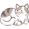 cute cat resting at home 14 adorable moments